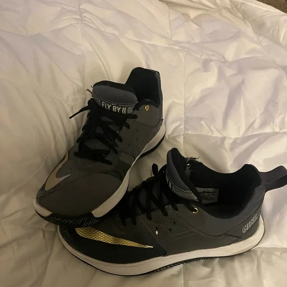 Nike Shoes Nike Fly By Low 2 Grey Gold Black Aj592002 Mens